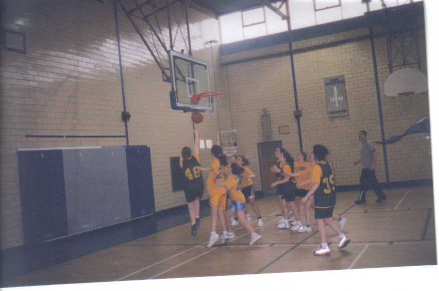 mylayup.jpg
